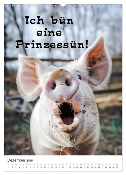 Produktbild: Lustige Tiere (hochwertiger Premium Wandkalender 2026 DIN A2 hoch), Kunstdruck in Hochglanz