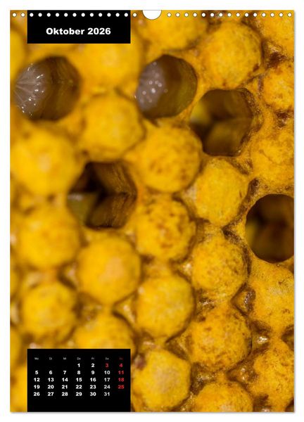Produktbild: Bienen in ihrem geheimen Reich (Wandkalender 2026 DIN A3 hoch), CALVENDO Monatskalender
