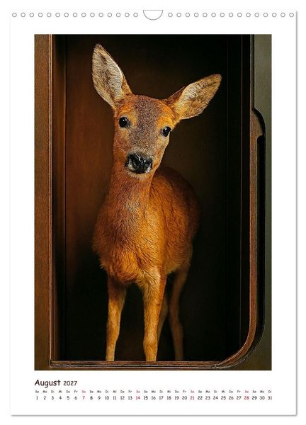 Produktbild: Wer f&auml;hrt denn da? Ein tierisches Paternoster Vergn&uuml;gen (Wandkalender 2027 DIN A3 hoch), CALVENDO Monatskalender