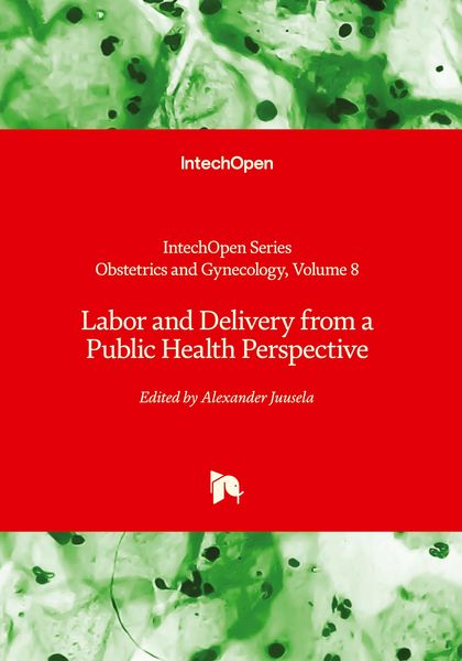 Produktbild: Labor and Delivery from a Public Health Perspective