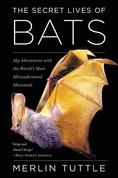 Produktbild: The Secret Lives of Bats