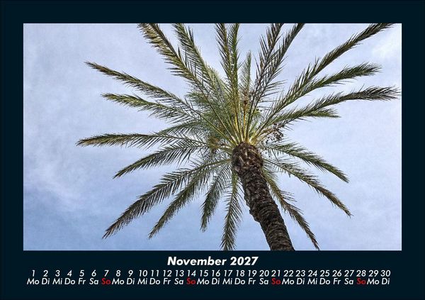 Produktbild: Palmentraum 2027 Fotokalender DIN A5