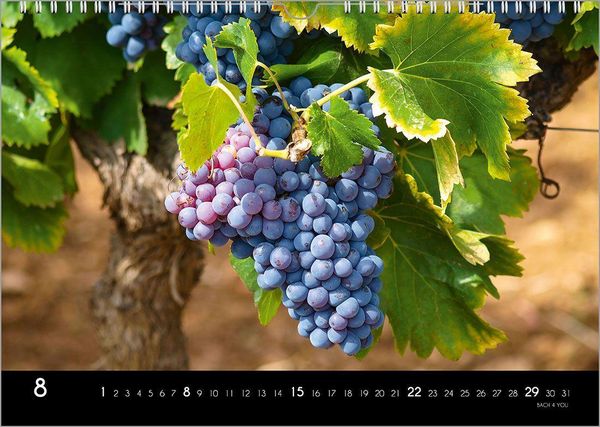 Produktbild: Der Weinkalender 2027, DIN A3 &ndash; ein Fotokalender