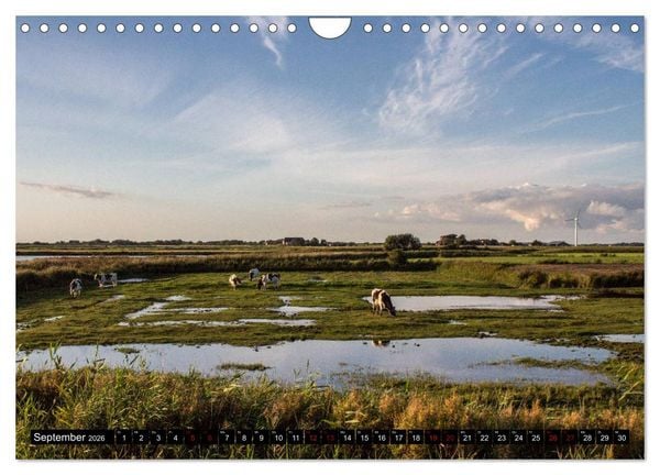 Produktbild: Nordseeinsel Pellworm 2026 (Wandkalender 2026 DIN A4 quer), CALVENDO Monatskalender