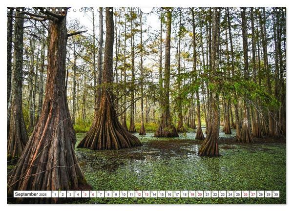 Produktbild: Louisiana - S&uuml;mpfe und Plantagenh&auml;user (Wandkalender 2026 DIN A3 quer), CALVENDO Monatskalender