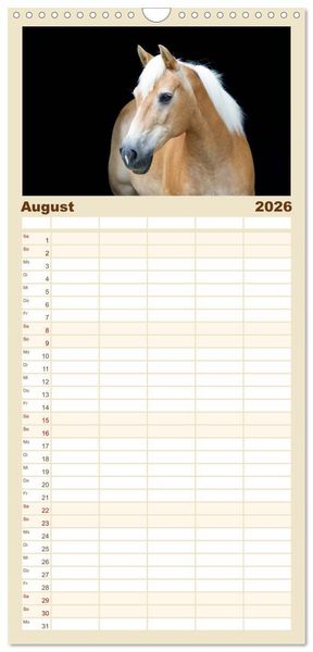 Produktbild: Familienplaner 2026 - Haflinger mit 5 Spalten (Wandkalender, 21 x 45 cm) CALVENDO