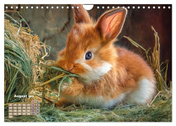 Produktbild: Kaninchenportraits &ndash; Szenen voller Charme (Wandkalender 2026 DIN A4 quer), CALVENDO Monatskalender