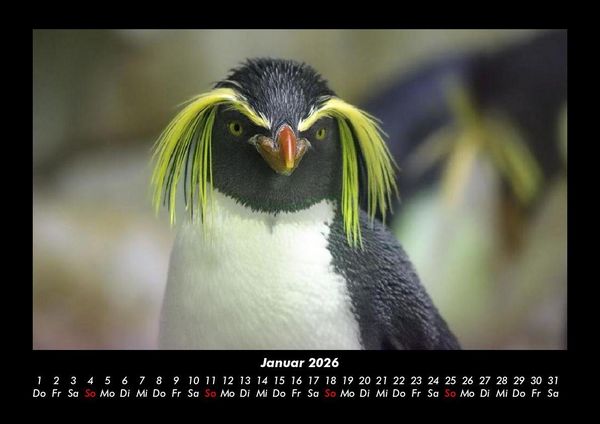 Produktbild: Welt der Tiere 2026 Fotokalender DIN A3