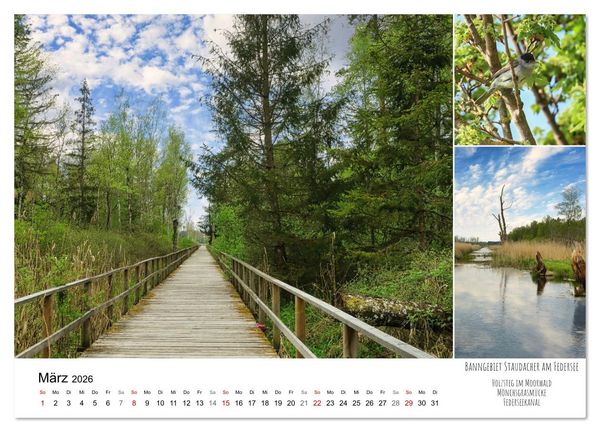 Produktbild: Schwabens Riede und Moore (Wandkalender 2026 DIN A2 quer), CALVENDO Monatskalender