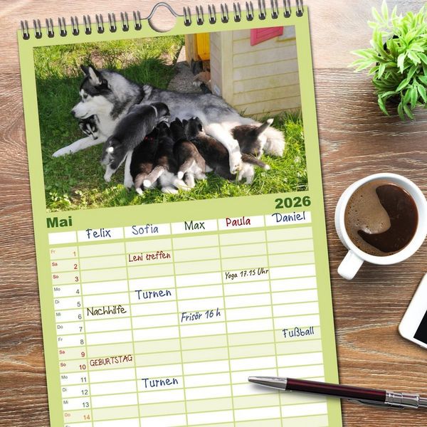 Produktbild: Familienplaner 2026 - Husky Welpen mit 5 Spalten (Wandkalender, 21 x 45 cm) CALVENDO