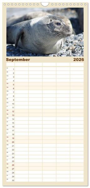 Produktbild: Familienplaner 2026 - Das Leben der Robben mit 5 Spalten (Wandkalender, 21 x 45 cm) CALVENDO