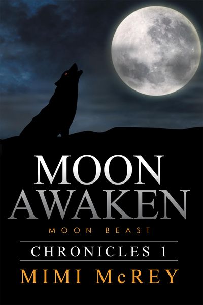 Produktbild: Moon Awaken
