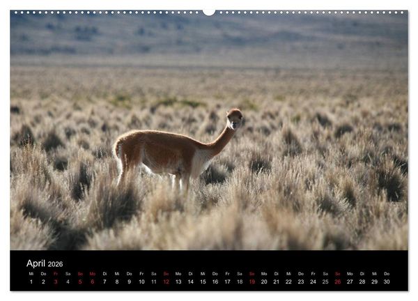 Produktbild: Bolivien (Wandkalender 2026 DIN A2 quer), CALVENDO Monatskalender