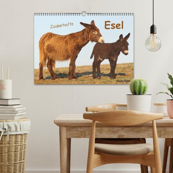 Produktbild: Zauberhafte Esel (Wandkalender 2026 DIN A3 quer), CALVENDO Monatskalender