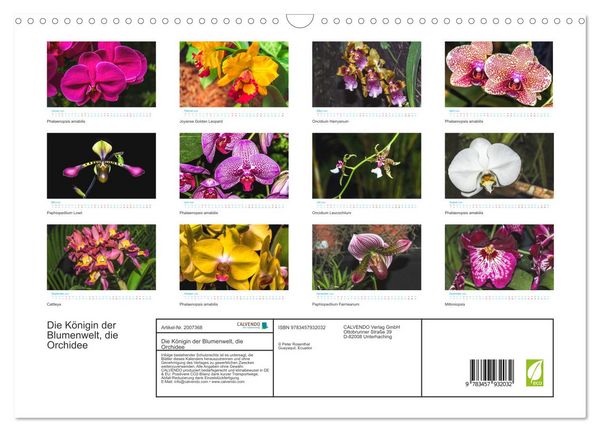 Produktbild: Die K&ouml;nigin der Blumenwelt, die Orchidee (Wandkalender 2026 DIN A3 quer), CALVENDO Monatskalender