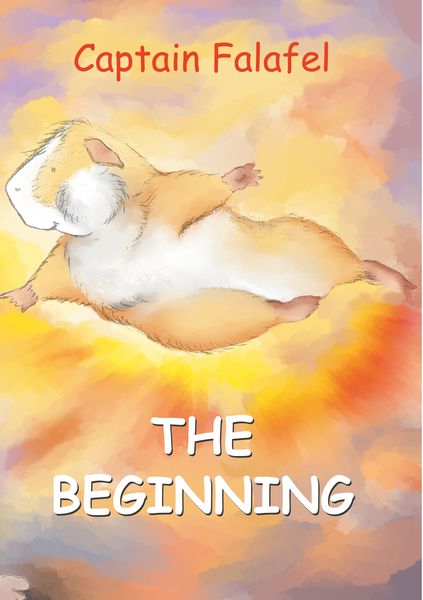 Produktbild: Captain Falafel