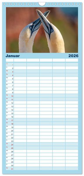 Produktbild: Familienplaner 2026 - Unsere Vogelvielfalt: Ein Schatz zum Entdecken und Sch&uuml;tzen mit 5 Spalten (Wandkalender, 21 x 45 cm) CALVENDO
