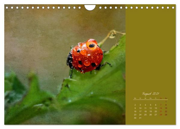 Produktbild: Kalenderspr&uuml;che (Wandkalender 2027 DIN A4 quer), CALVENDO Monatskalender