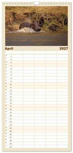 Produktbild: Familienplaner 2027 - Hippos - Gef&auml;hrliche Giganten mit 5 Spalten (Wandkalender, 21 x 45 cm) CALVENDO
