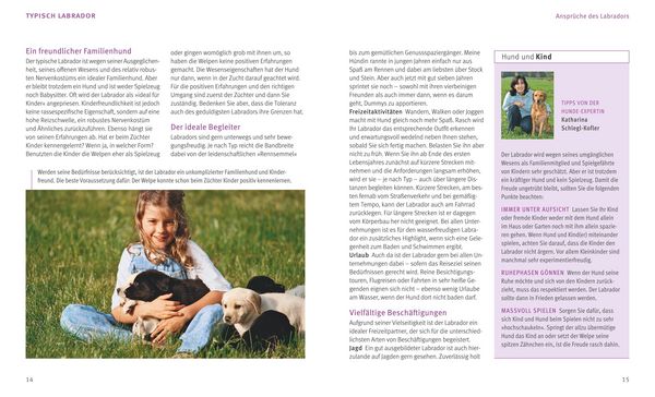 Produktbild: Labrador Retriever