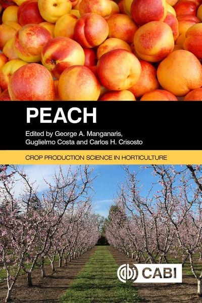 Produktbild: Peach