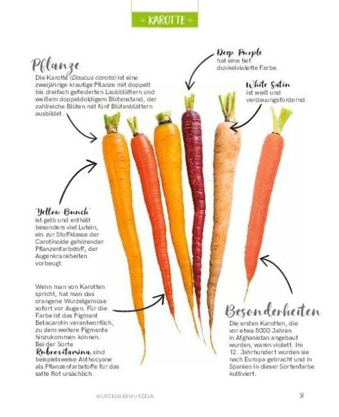 Regrowing – Neue Triebe aus Obst- und Gemüseresten