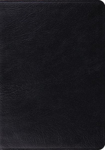 Produktbild: Study Bible-ESV
