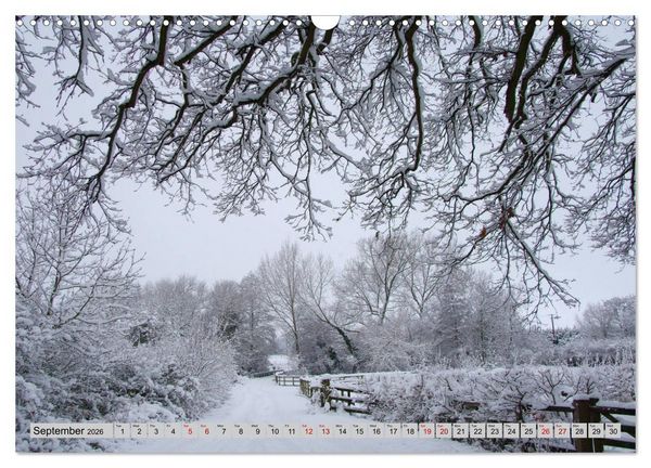 Produktbild: Snow Scenes (Wall Calendar 2026 DIN A3 landscape), CALVENDO 12 Month Wall Calendar