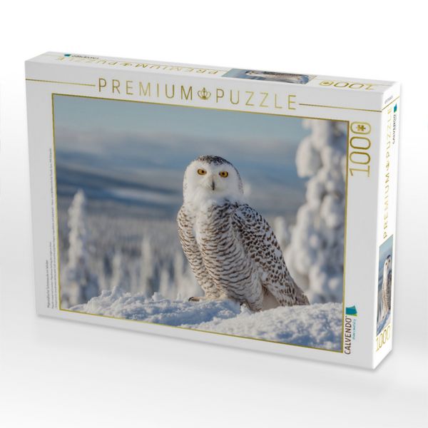 Produktbild: CALVENDO Puzzle Majest&auml;tische Schneeeule im Winter | 1000 Teile Lege-Gr&ouml;&szlig;e 64x48cm Foto-Puzzle f&uuml;r gl&uuml;ckliche Stunden
