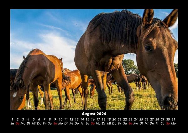 Produktbild: Die Welt der Pferde 2026 Fotokalender DIN A3