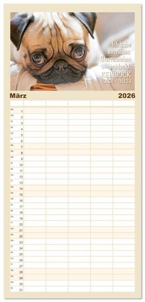 Produktbild: Familienplaner 2026 - Mopsala: Vom Gl&uuml;ck, ein Mops zu sein mit 5 Spalten (Wandkalender, 21 x 45 cm) CALVENDO