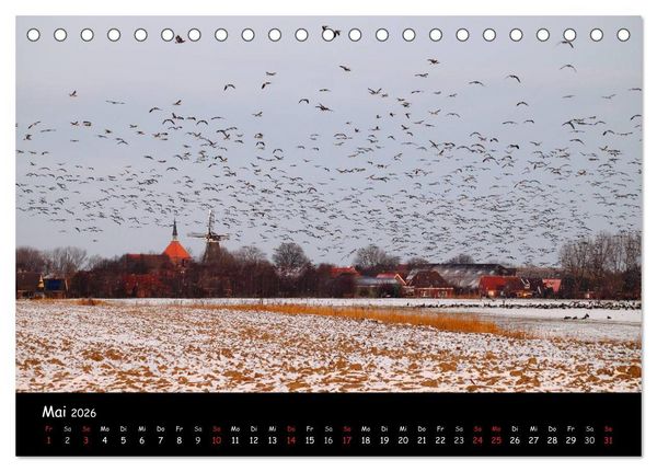 Produktbild: Schrei der Wildg&auml;nse (Tischkalender 2026 DIN A5 quer), CALVENDO Monatskalender