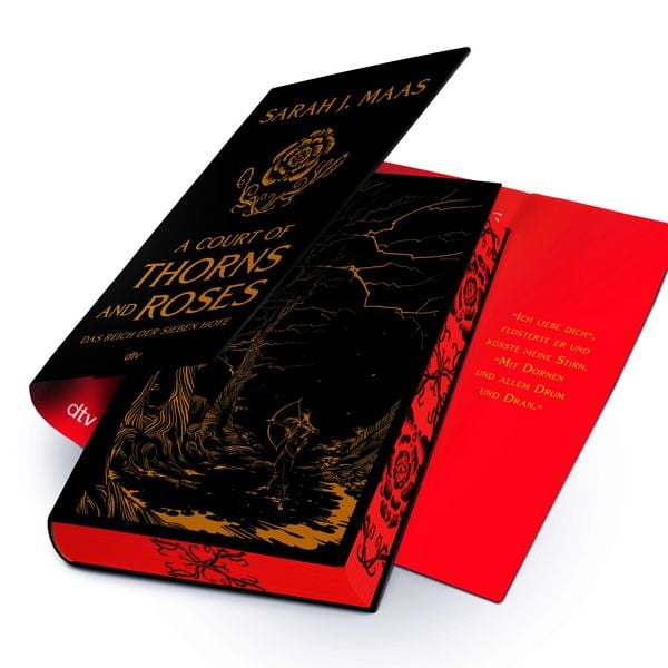 Produktbild: A Court of Thorns and Roses