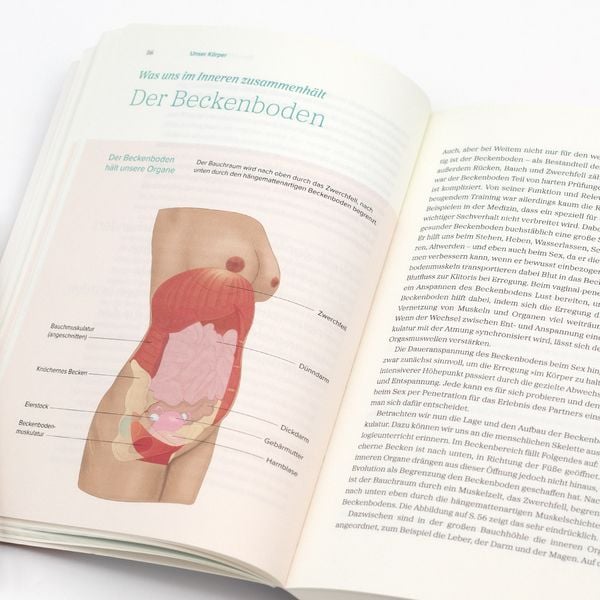 Produktbild: Das gro&szlig;e Gynbuch