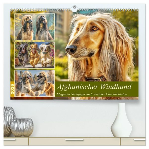 Produktbild: Afghanischer Windhund. Eleganter Sichtj&auml;ger und sensibler Couch-Potatoe (hochwertiger Premium Wandkalender 2026 DIN A2 quer), Kunstdruck in Hochglanz