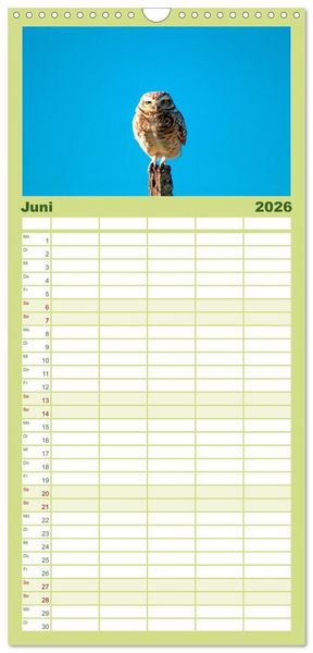 Produktbild: Familienplaner 2026 - Eulen - Wachsame und geheimnisvolle Augen mit 5 Spalten (Wandkalender, 21 x 45 cm) CALVENDO