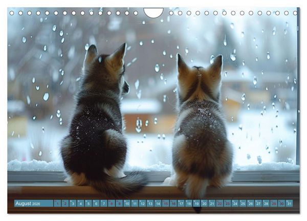 Produktbild: Schlittenhund Tr&auml;ume (Wandkalender 2026 DIN A4 quer), CALVENDO Monatskalender