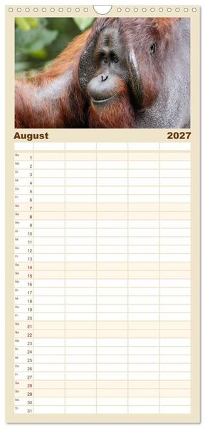 Produktbild: Familienplaner 2027 - Waldmenschen - Orang Utans auf Borneo mit 5 Spalten (Wandkalender, 21 x 45 cm) CALVENDO