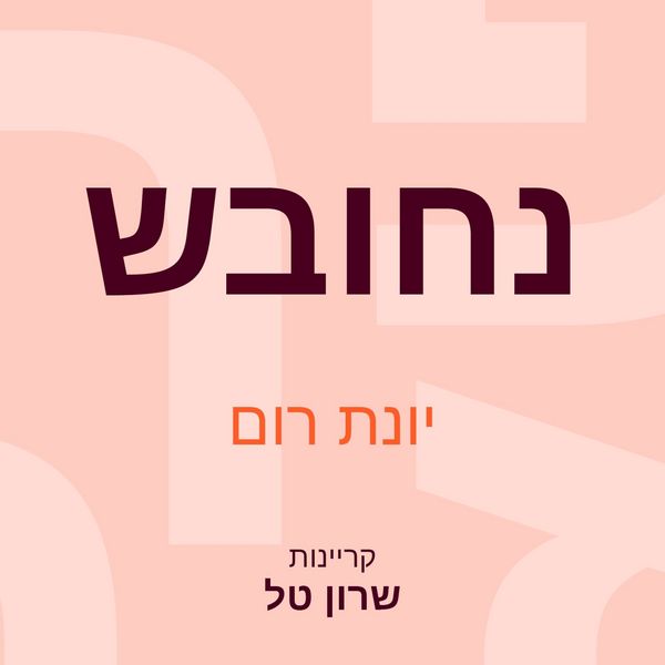 Produktbild: נחובש