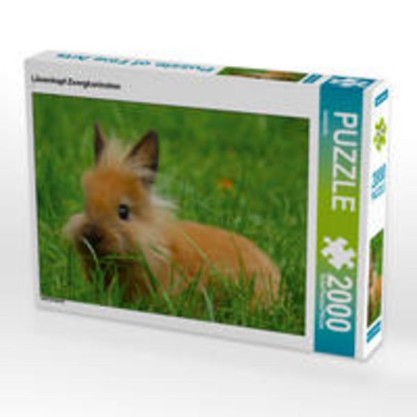 CALVENDO Puzzle Löwenkopf Zwergkaninchen 2000 Teile Lege-Größe 90 x 67 cm Foto-Puzzle Bild von kattobello