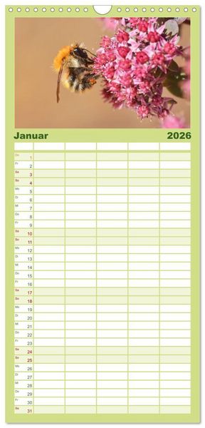 Produktbild: Familienplaner 2026 - Hummeln und Bienen mit 5 Spalten (Wandkalender, 21 x 45 cm) CALVENDO