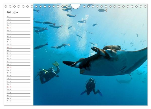 Produktbild: Malediven (Wandkalender 2026 DIN A4 quer), CALVENDO Monatskalender
