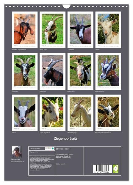 Produktbild: Ziegenportraits (Wandkalender 2026 DIN A3 hoch), CALVENDO Monatskalender