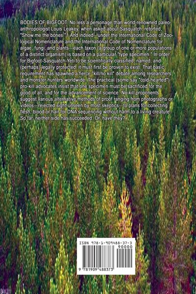 Produktbild: Sasquatch Down