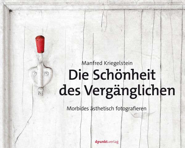 Produktbild: Die Sch&ouml;nheit des Verg&auml;nglichen