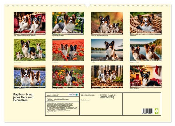 Produktbild: Papillon - bringt jedes Herz zum Schmelzen (Wandkalender 2026 DIN A2 quer), CALVENDO Monatskalender