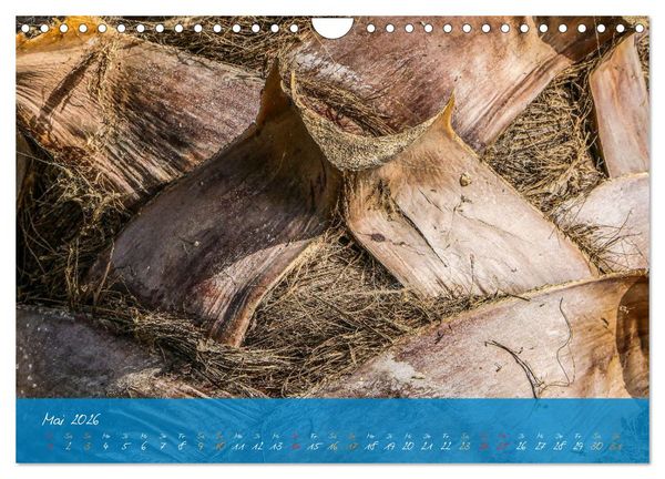 Produktbild: Natur abstrakt Farben und Strukturen (Wandkalender 2026 DIN A4 quer), CALVENDO Monatskalender