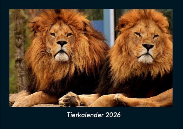 Produktbild: Tierkalender 2026 Fotokalender DIN A4