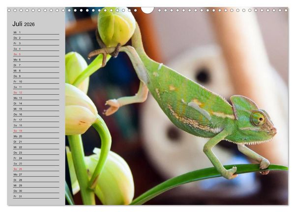 Produktbild: Kaltes Blut. Faszination Reptilien (Wandkalender 2026 DIN A3 quer), CALVENDO Monatskalender