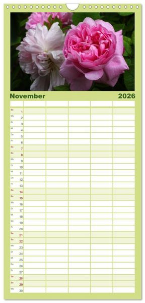 Produktbild: Familienplaner 2026 - Rosen Reigen im Garten mit 5 Spalten (Wandkalender, 21 x 45 cm) CALVENDO